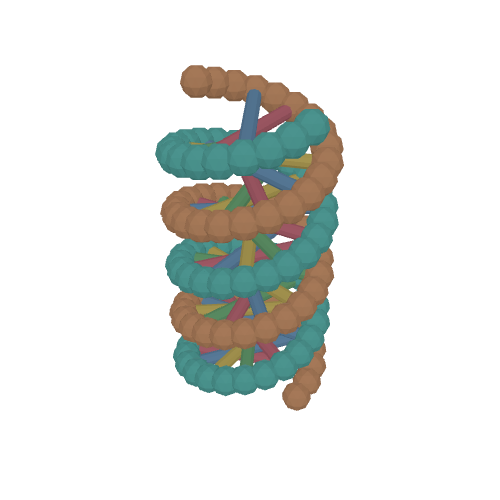 DNA Double Helix