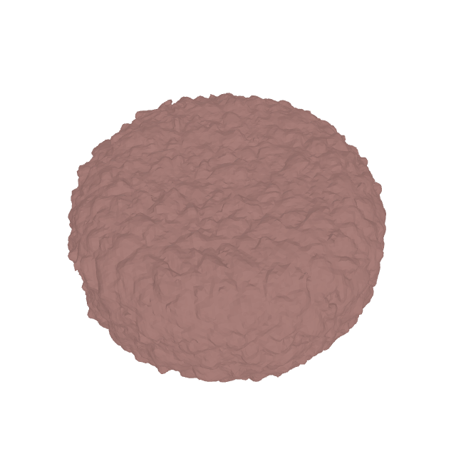SDF Brain Coral