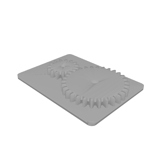 Spur Gear Pair