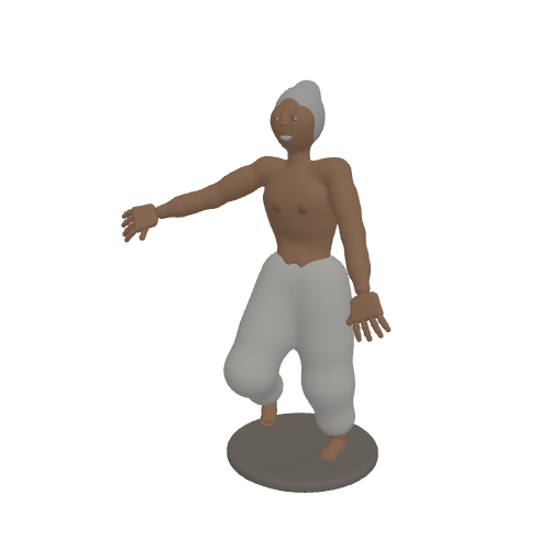Tai Chi Master